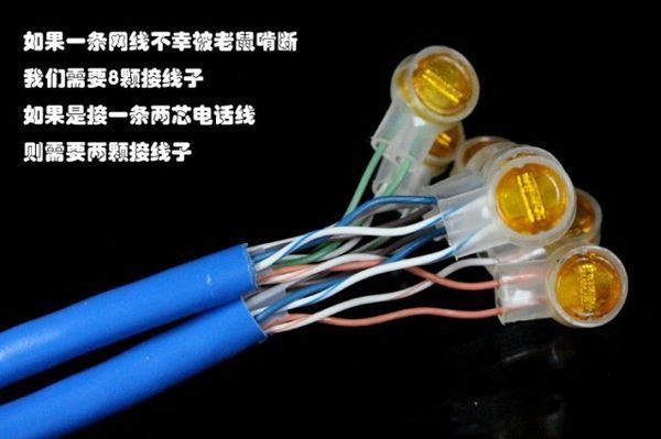 网线接驳 选 K1 还是 K2 接线子？常见场景与选择指南